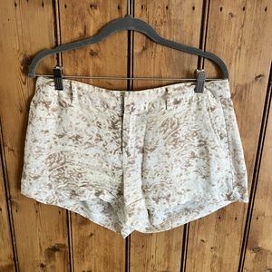 Valerie Bertinelli Shorts